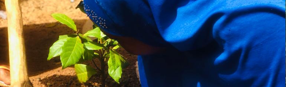 Wurzeln in zwei Welten
