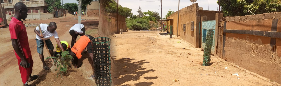 Wurzeln in zwei Welten